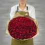 101 красная роза (Кения) фото 3